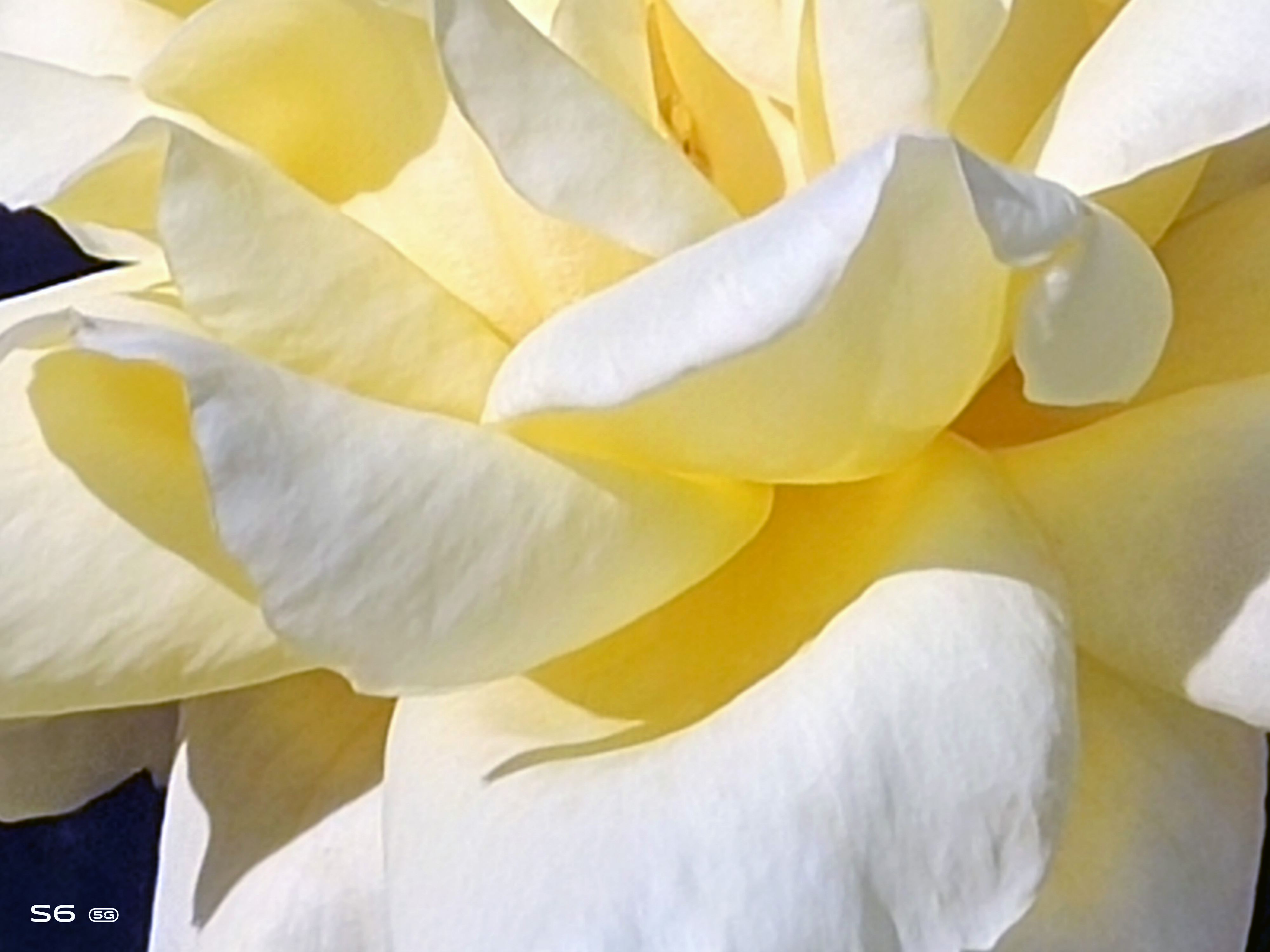 消费者视角分析,vivos6值得入手吗