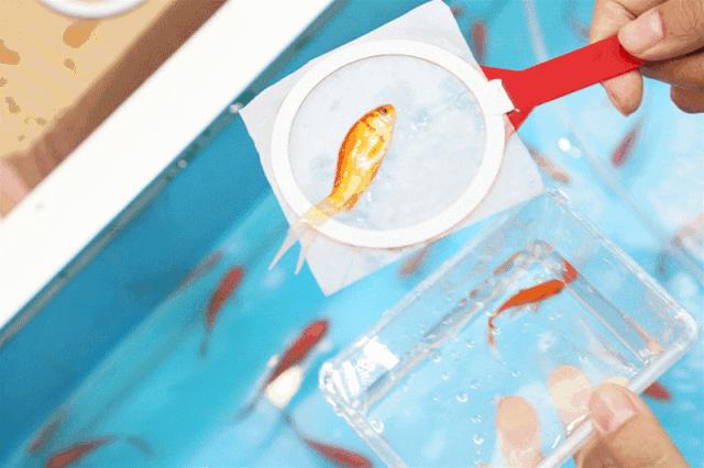 没有孵过混堂的上海冬天，是不完整的