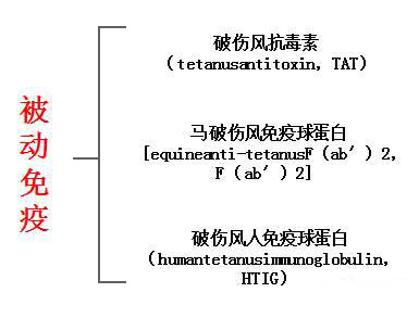 破伤风的致病条件及防治原则,降低破伤风病人病死率的重要措施