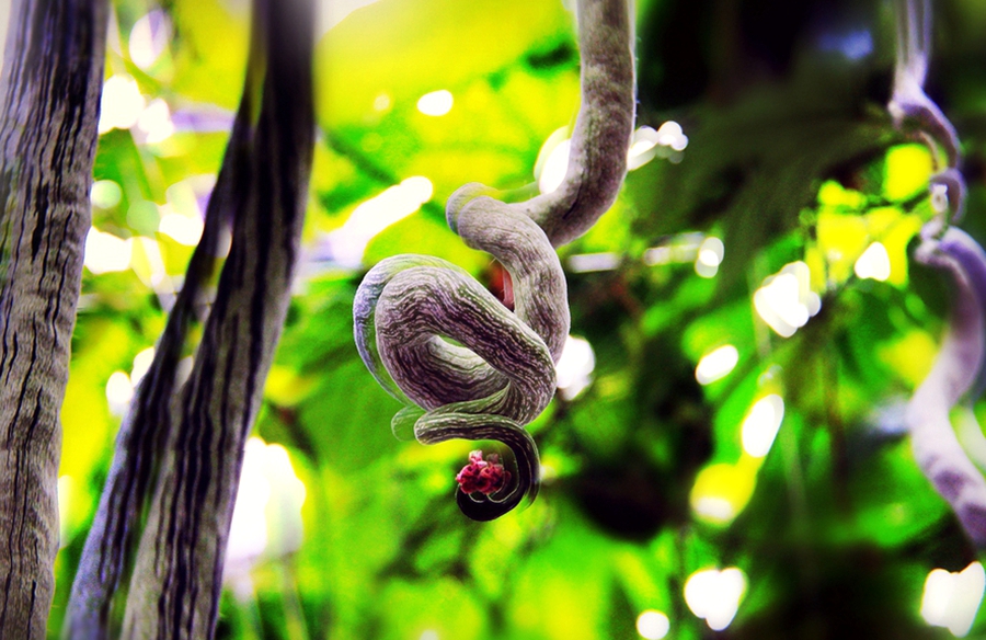 扫落叶优美诗句,扫落叶的诗句