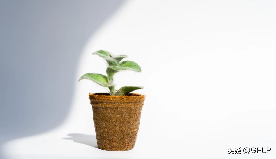 门店如何与爱回收合作,爱回收门店一年能赚多少钱