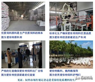 山东爱依特饲料有限公司,山东爱依特生物技术有限公司