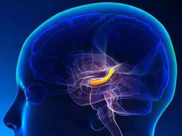 怎么治愈孩子的童年创伤,童年创伤后对孩子有什么影响