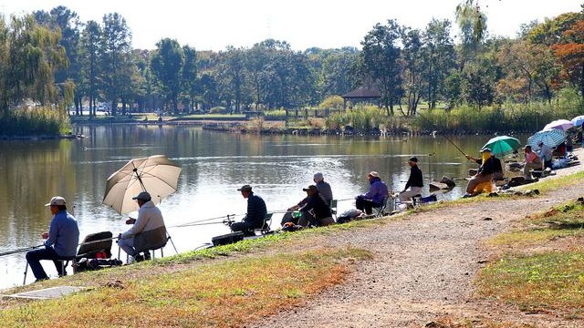 钓鱼必备的10个秘诀,钓鱼的十大基本绝招