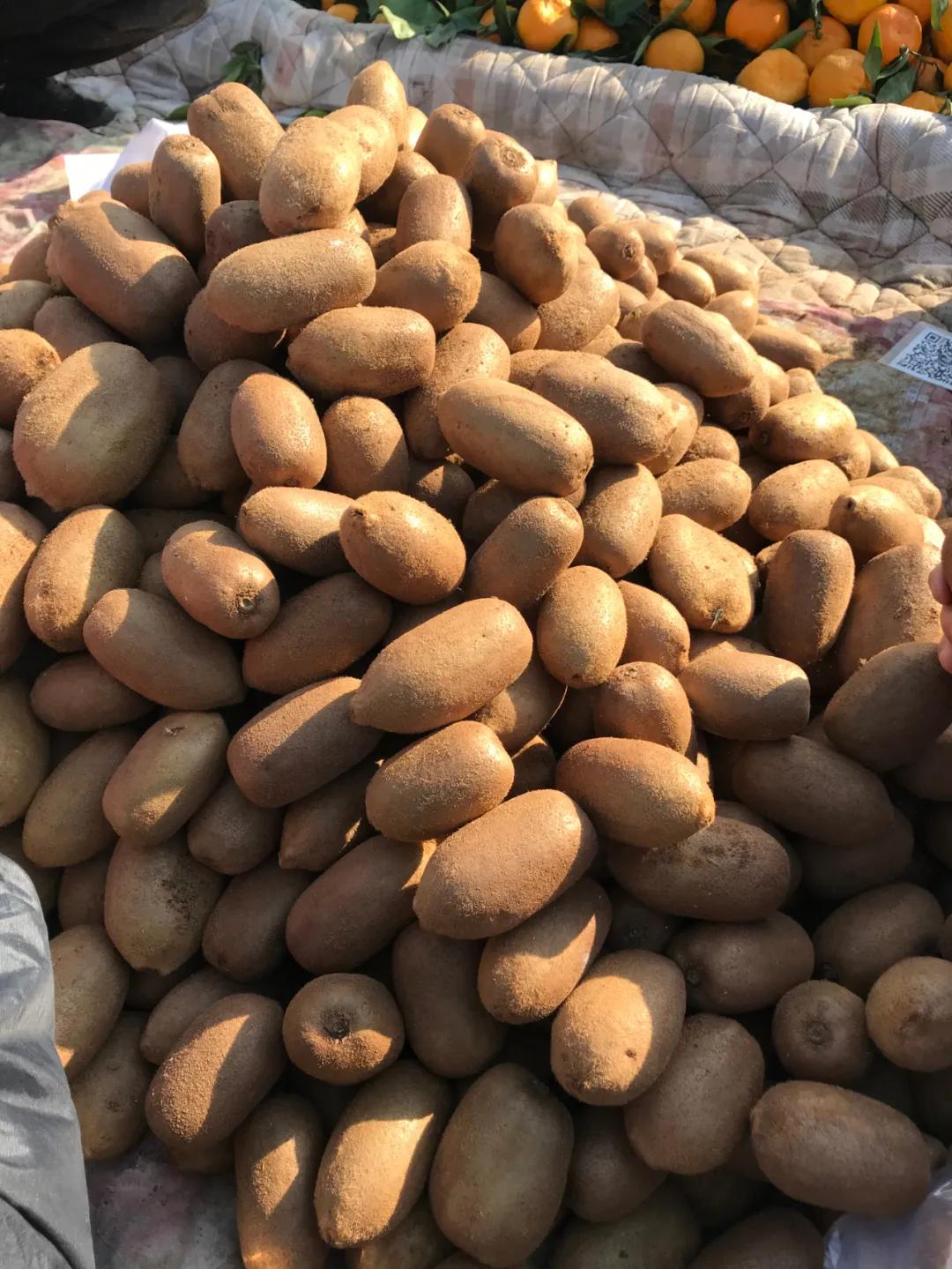 周边最便宜的大集在哪里,10元一两的大集