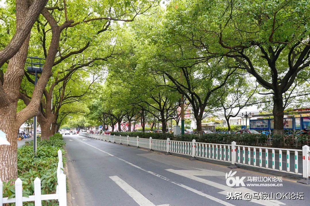 在这条平凡之路，解锁一个老马鞍山人