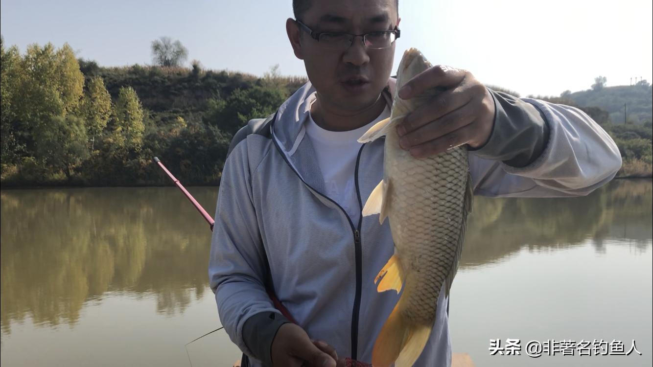 野钓急流水七星漂调漂最佳方法,野钓七星漂调漂最佳方法新手