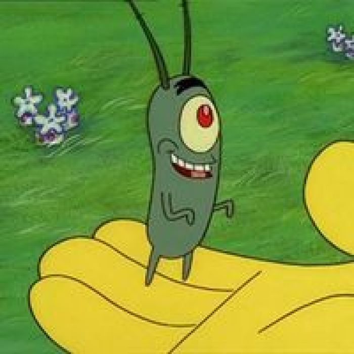 黄尾鱼饵料自制配方视频,如何自制米缸鱼饵料配方