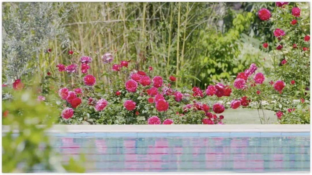 腾讯高管辞职隐居,腾讯元老隐居合肥