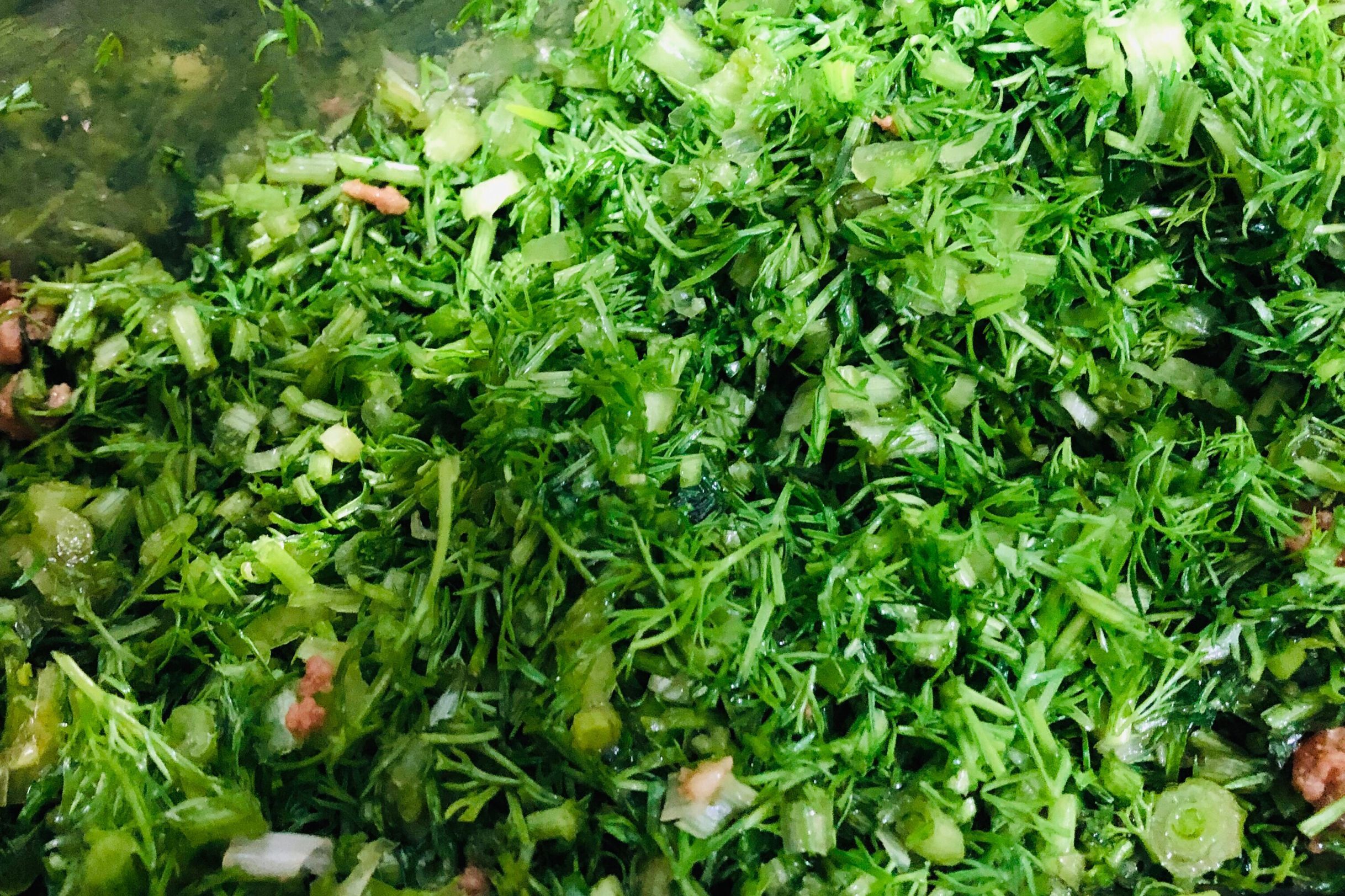 冬至小茴香饺子馅的做法,茴香香菇饺子的做法大全