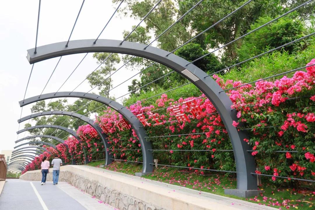 簕竹杜鹃谷公园,好看的杜鹃谷公园