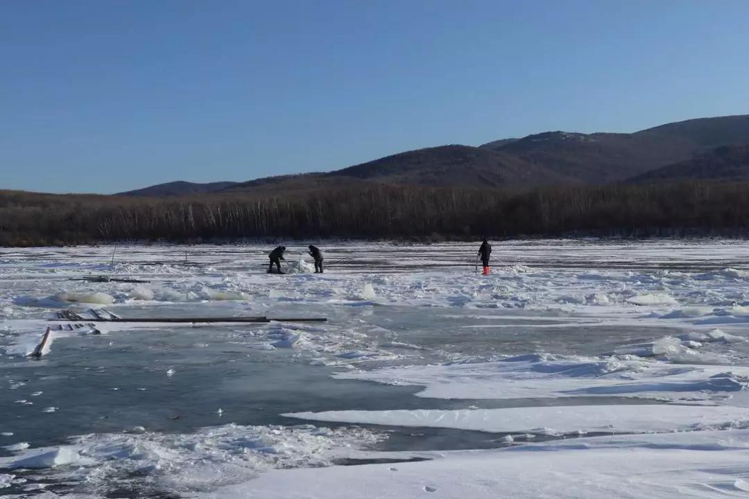 在祖国最东边零下20度的夜里,直播捞鱼