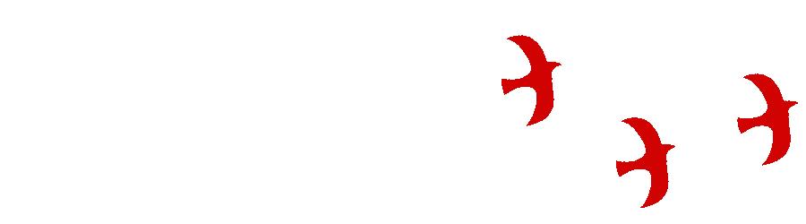 传承五四薪火展现青春风采高清,传承五四精神激扬青春风采图片