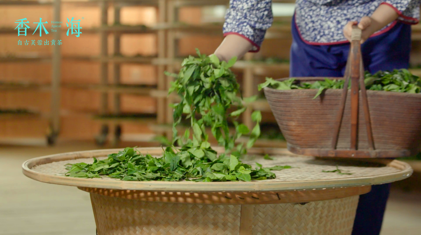 怎么鉴别铁观音茶叶的好坏,怎样挑选茶叶才是好茶