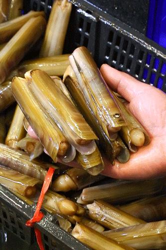 四海一家138元自助餐,四海一家118元自助餐券