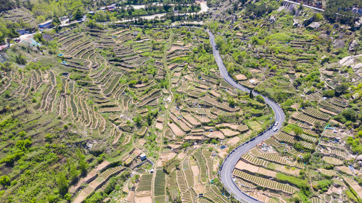 青山村青岛最美渔村,崂山脚下的五渔村