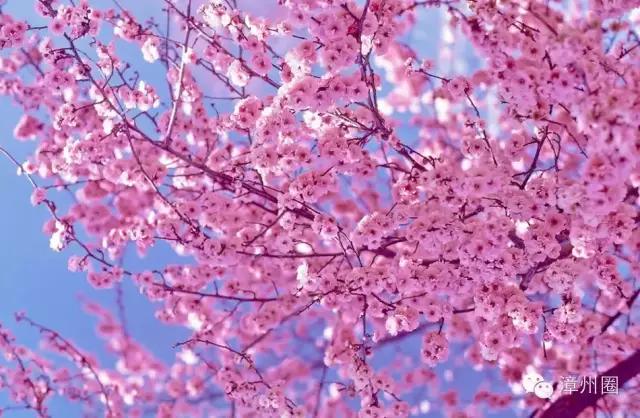 我想和你在漳州做完这一百件事情