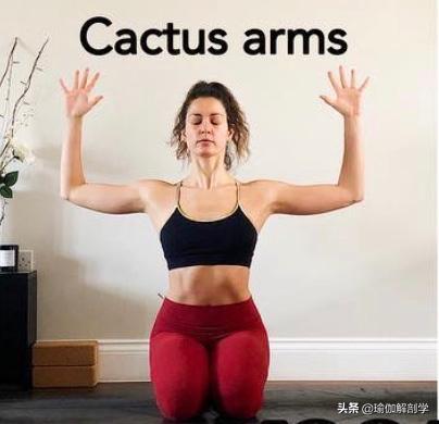 疏通胸部经络瑜伽最简单动作,疏通乳房的瑜伽体式