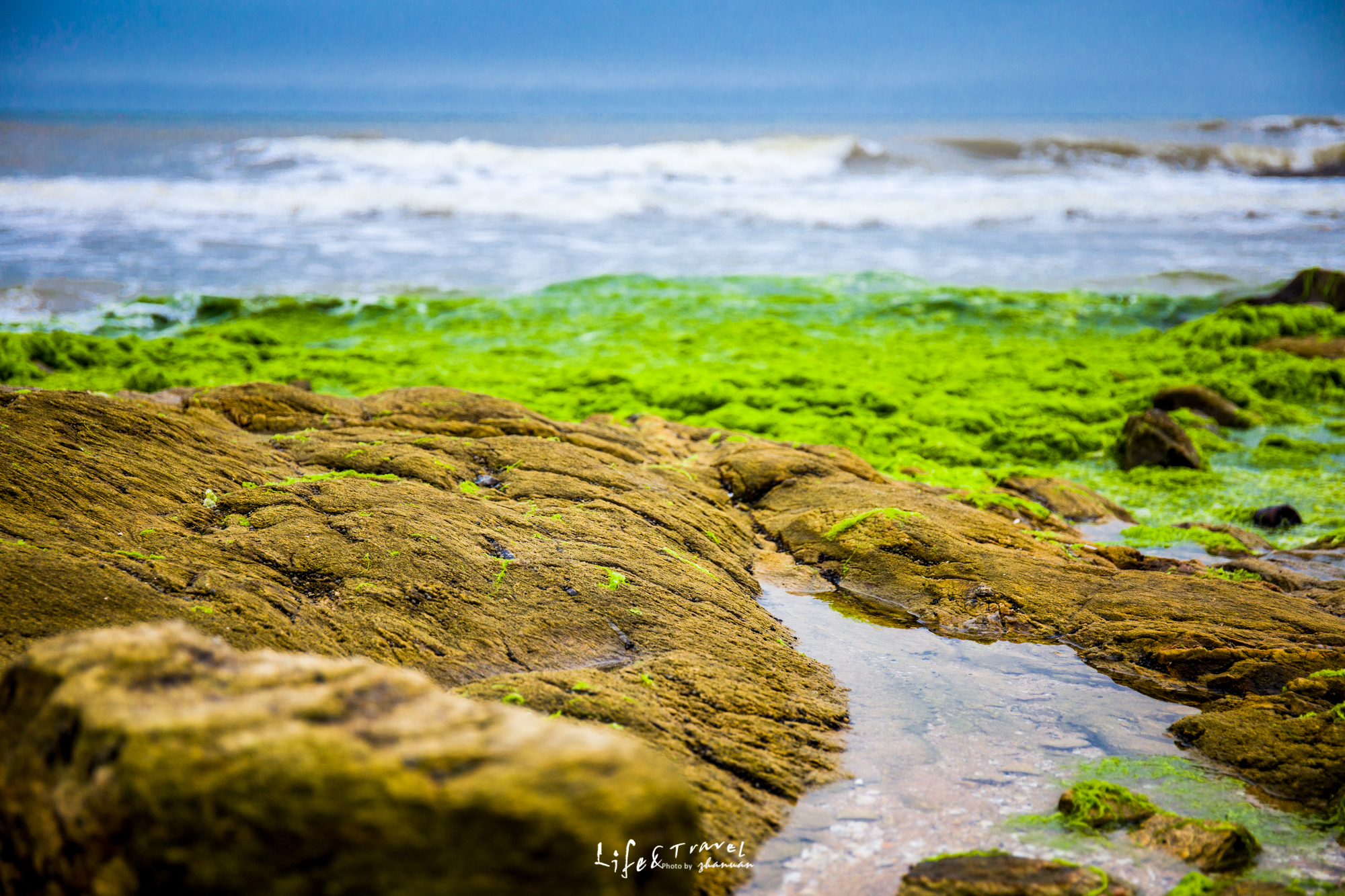 山东海滨之城是哪里,山东海滨城市景点