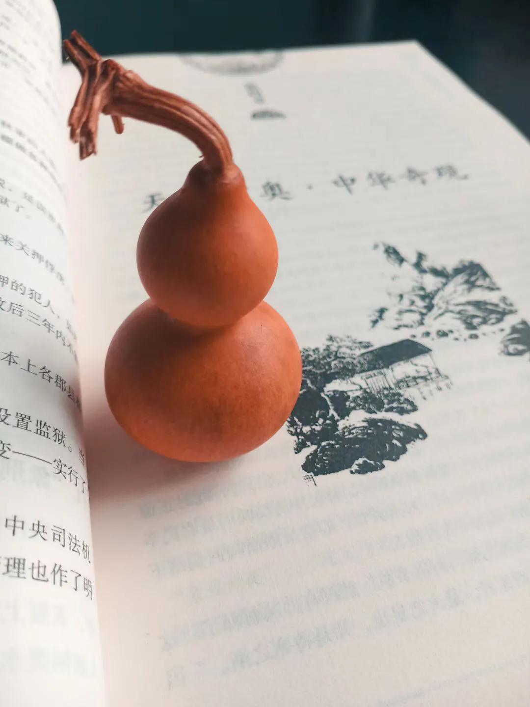 葫芦虽小藏天地,伴我云云万里身