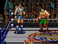 md战棋游戏,md双人游戏