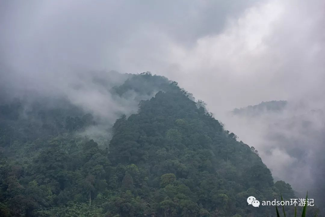 印尼你好怎么发音,印尼歌曲你好傻