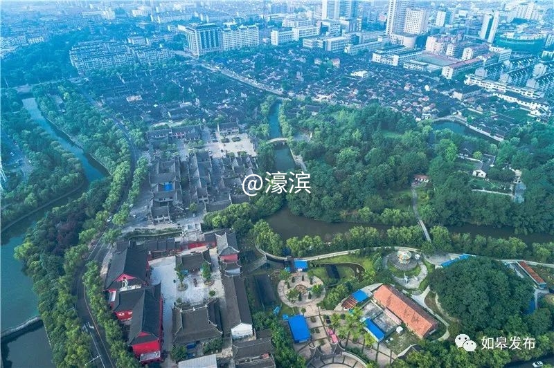 什么是如皋蝶尾,如皋的特点