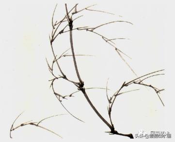 图文教程竹子画法,怎么画竹最简单最好看
