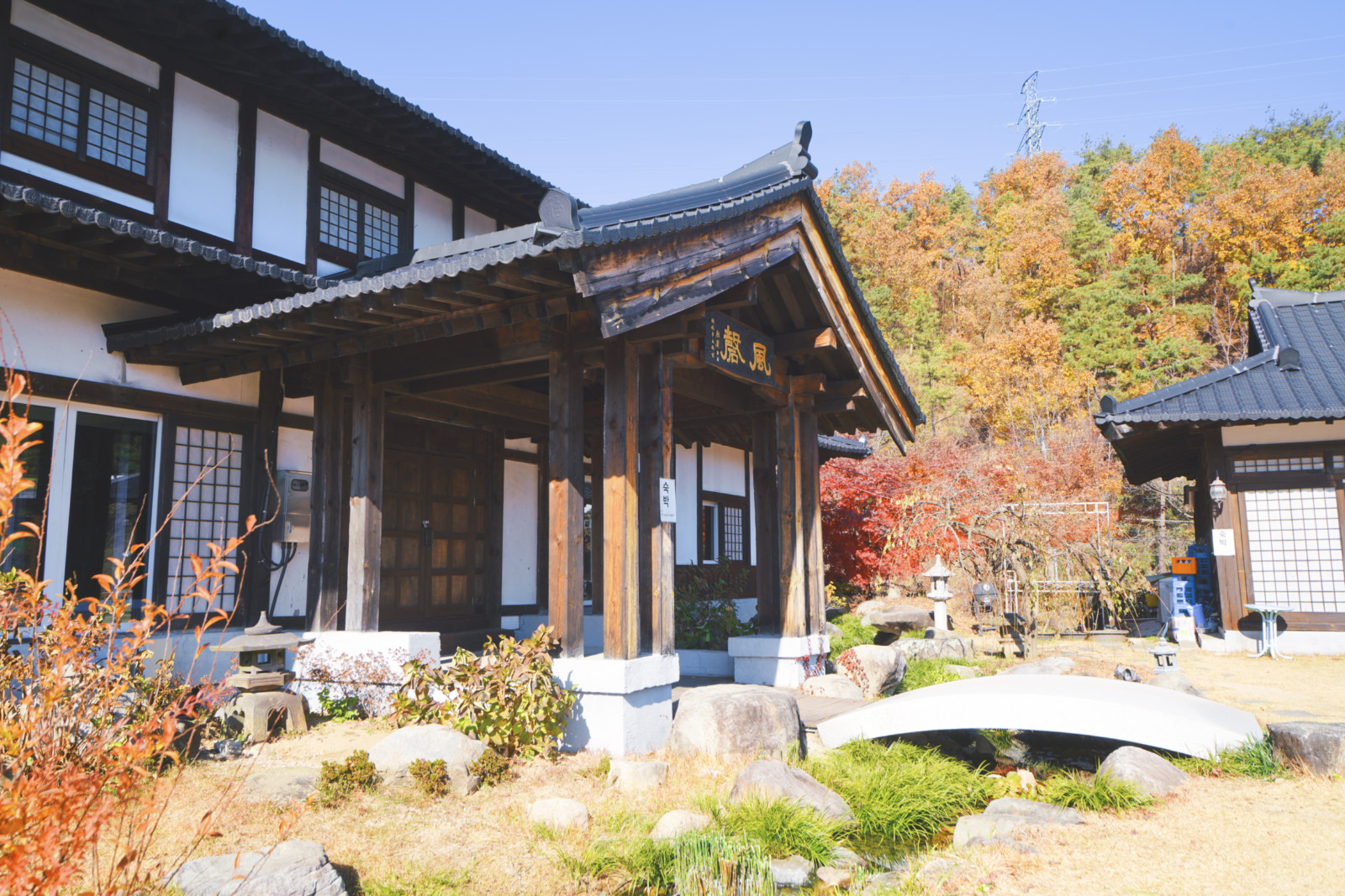 哇,人参随便挖!韩国还能这么玩