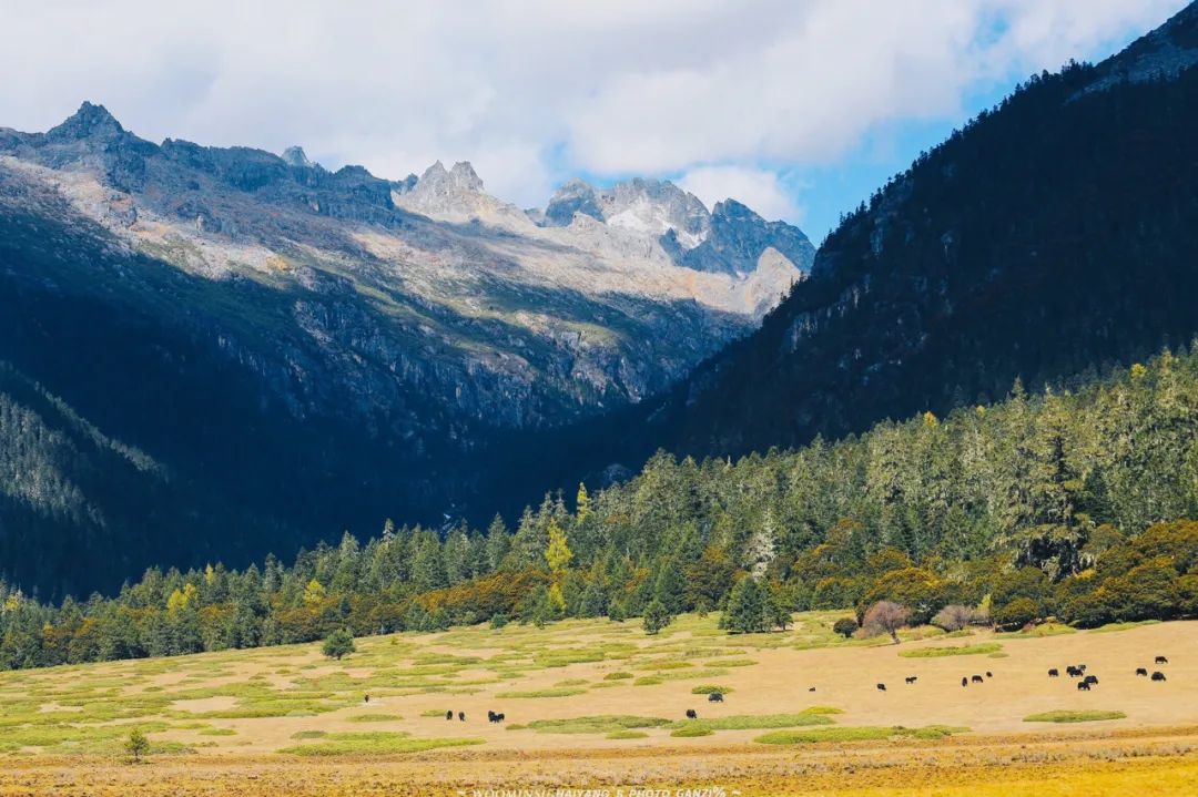 《有翡》取景地曝光！这个海拔3700，现场配救护车的地方要火