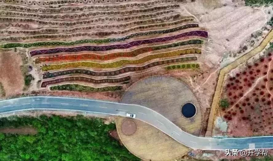 成都看花玩水,成都春游看花