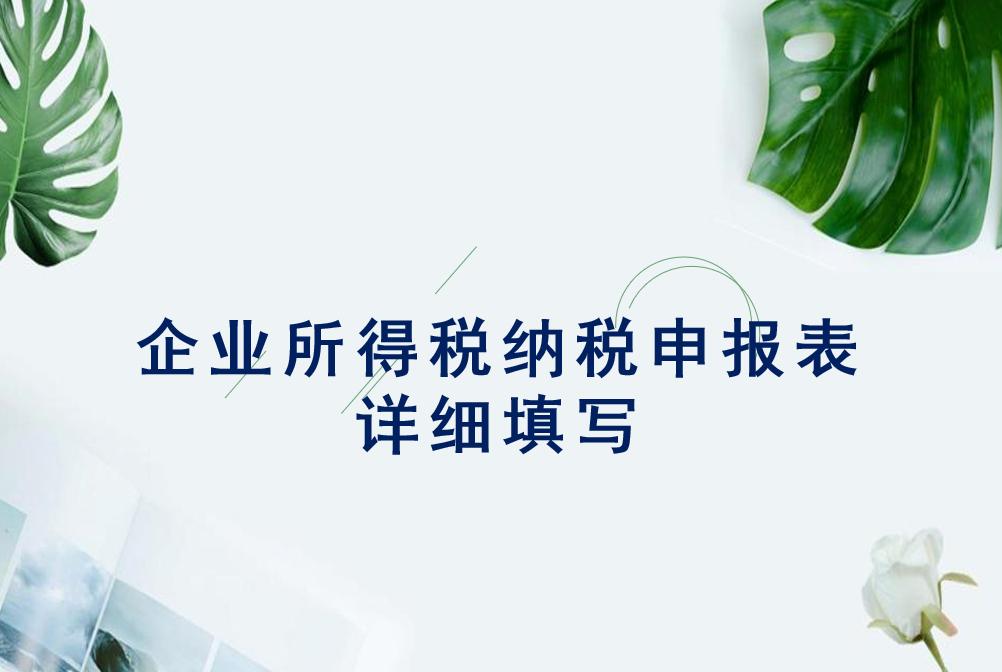 年度所得税纳税申报表空白表格,企业所得税纳税申报表完整版excel