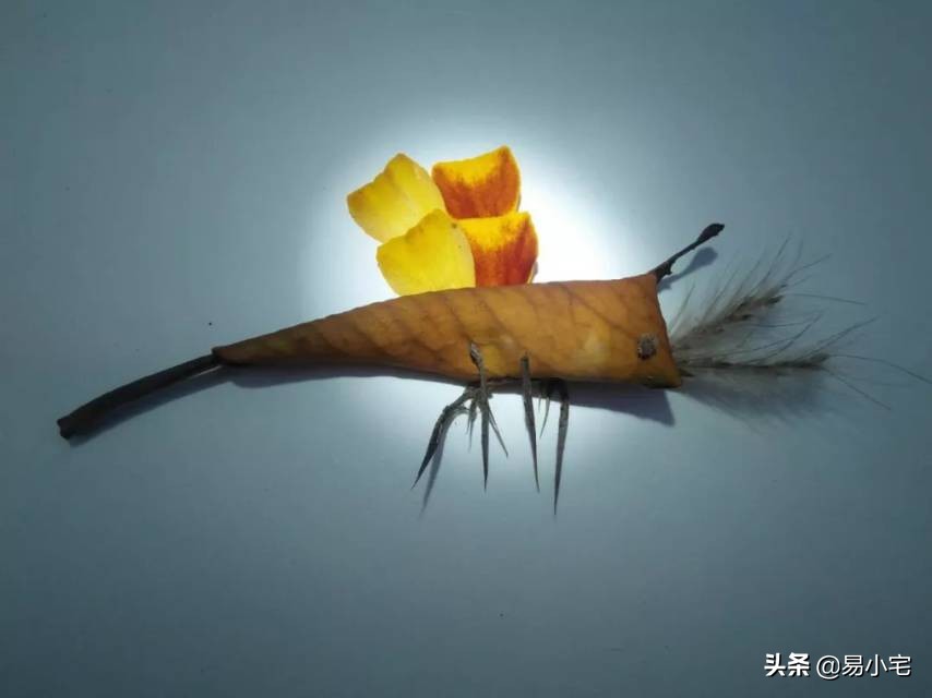 阿土｜荒野生活/从城市白领到山中野人