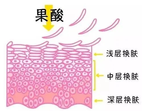 美白成分中谁最有用,美白成分一般排在第几位