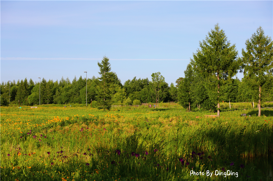 避暑就去这些山水古镇,长白山二道白河镇游玩地图