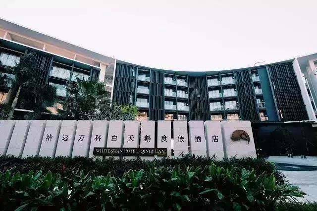 万科白天鹅鱼窝温泉,清远万科白天鹅温泉