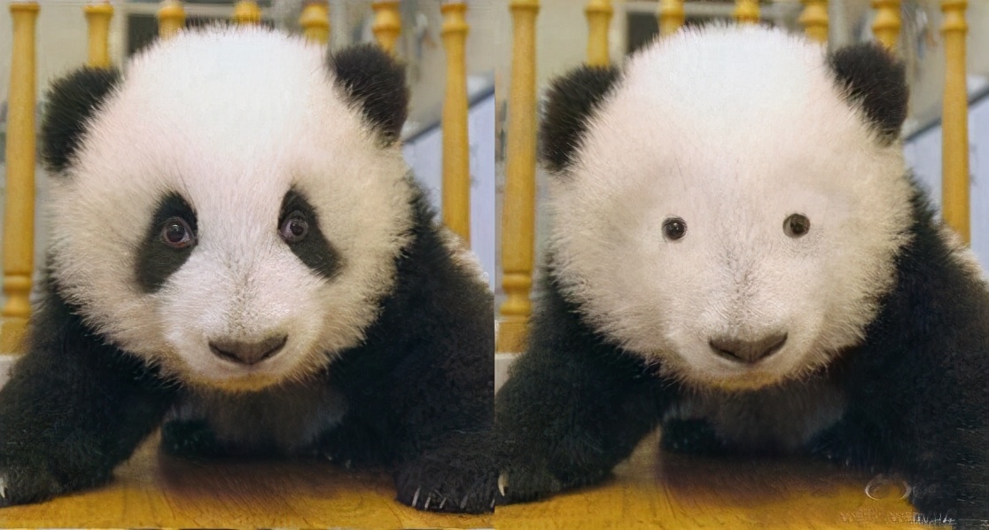 医学博士说眼霜真的治疗黑眼圈吗,真正对黑眼圈有用的眼霜