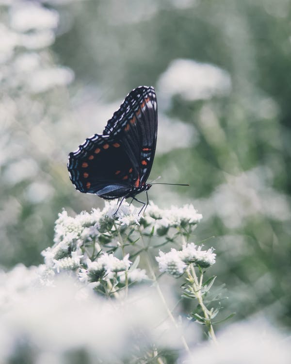 怎么样才能彻底摆脱焦虑,怎么摆脱焦虑让自己行动起来