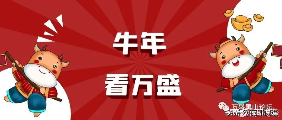 万盛石林全景,万盛石林壮观无比