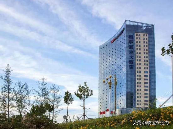 临沂五星级酒店有哪些,山东临沂七星级酒店有哪些