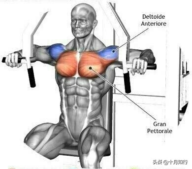 练胸大肌的十个动作,练胸的基本9个动作哑铃