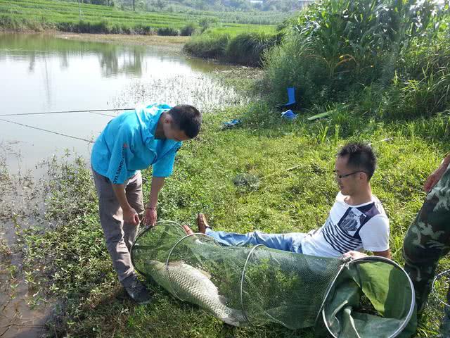 哪些地方可以钓到大草鱼,在野外能钓到大鱼吗