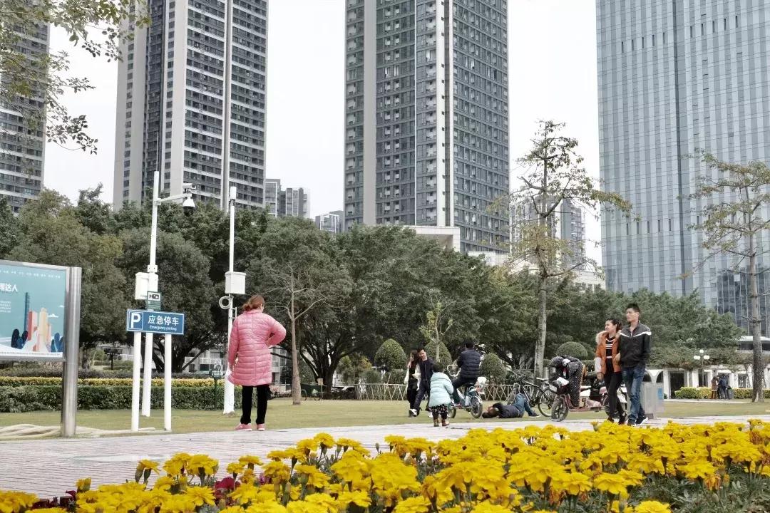 龙岗中心城壹号仓,光明和龙岗中心城