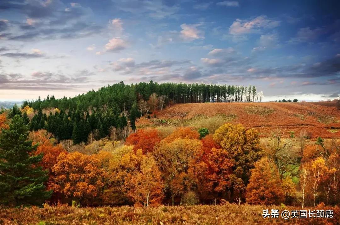 英国秋天好去处,英国秋天旅游必去的地方