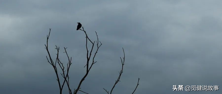 抗癌路上有我同行,抗癌的路上有你真好