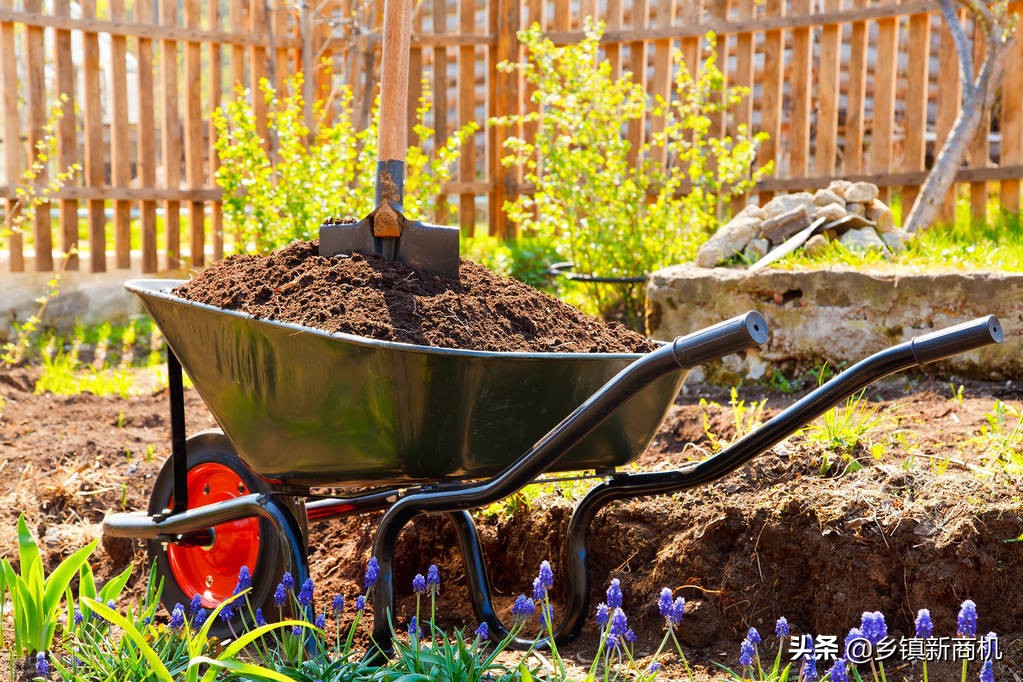 利润很吓人10个冷门创业项目农村,最适合新手小本创业的5个好项目