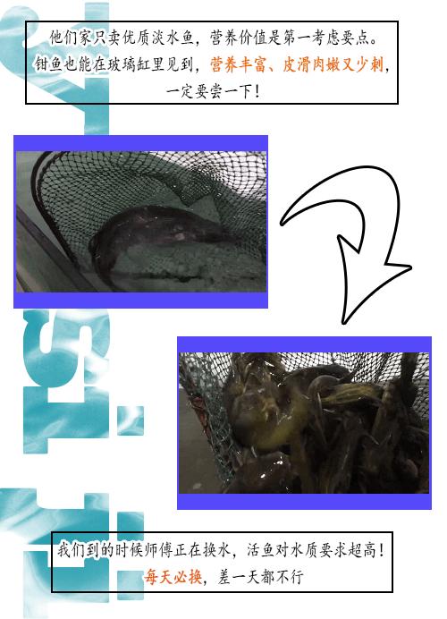 独特“草帽锅盖”新品来袭！钳鱼、黄辣丁分分钟钟跳跃在你舌尖