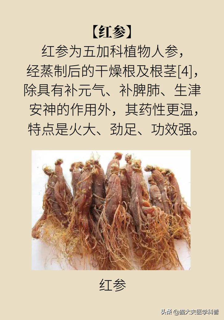 人参西洋参党参红参太子参的区别,人参红参太子参党参西洋参的区别