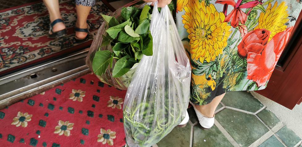 成都新都区军屯镇郭家村,成都新都军屯郭家村