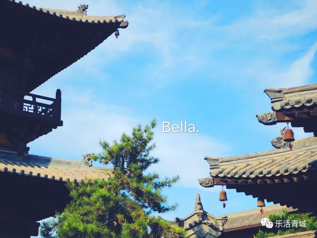 贝拉专访合集,贝拉专栏采访视频